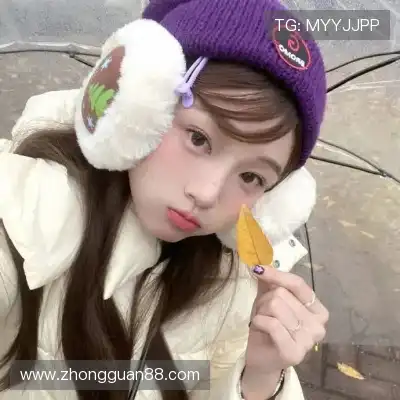 凤鲁庄